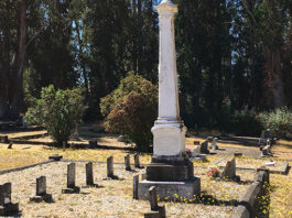 Cemetery Birds: Two Rock Valley Presbyterian Church Cemetery