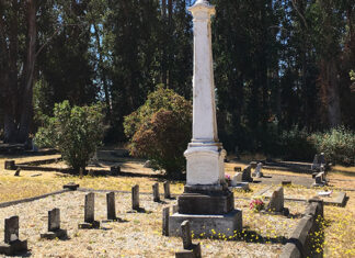 Cemetery Birds: Two Rock Valley Presbyterian Church Cemetery