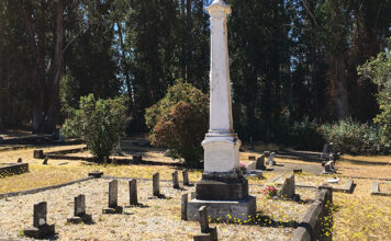 Cemetery Birds: Two Rock Valley Presbyterian Church Cemetery